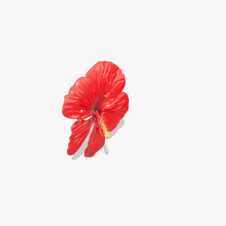 Vibrant Red Hibiscus model pack